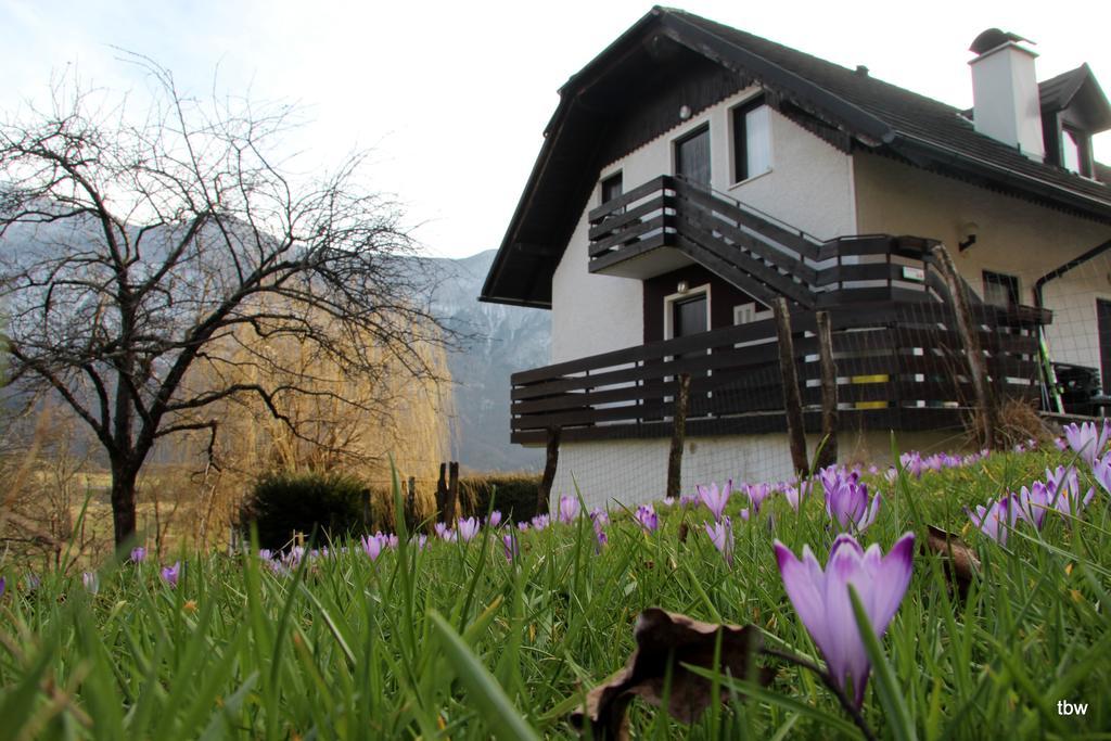 Apartments Tatjana Bovec Zewnętrze zdjęcie